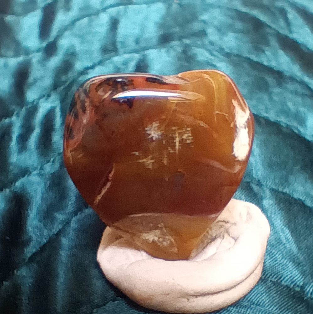 Petrified Wood